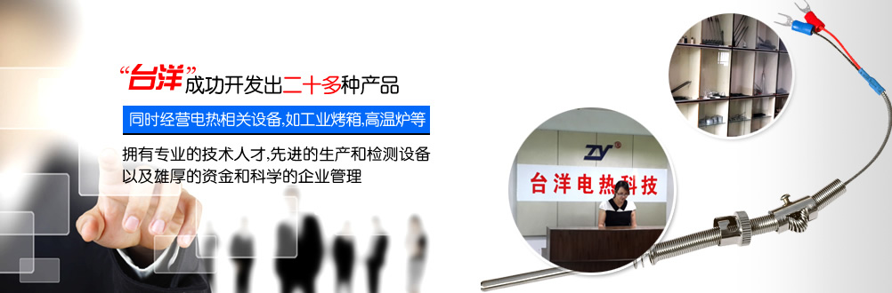 東莞電熱制品廠